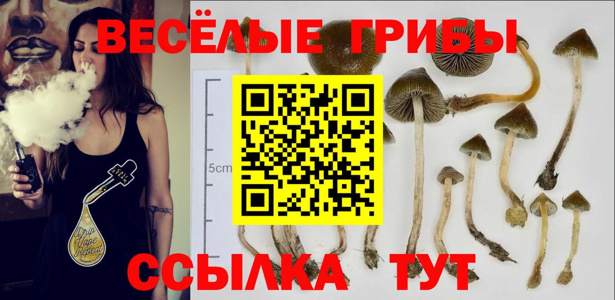 Галлюциногенные грибы Psilocybine cubensis Пенза