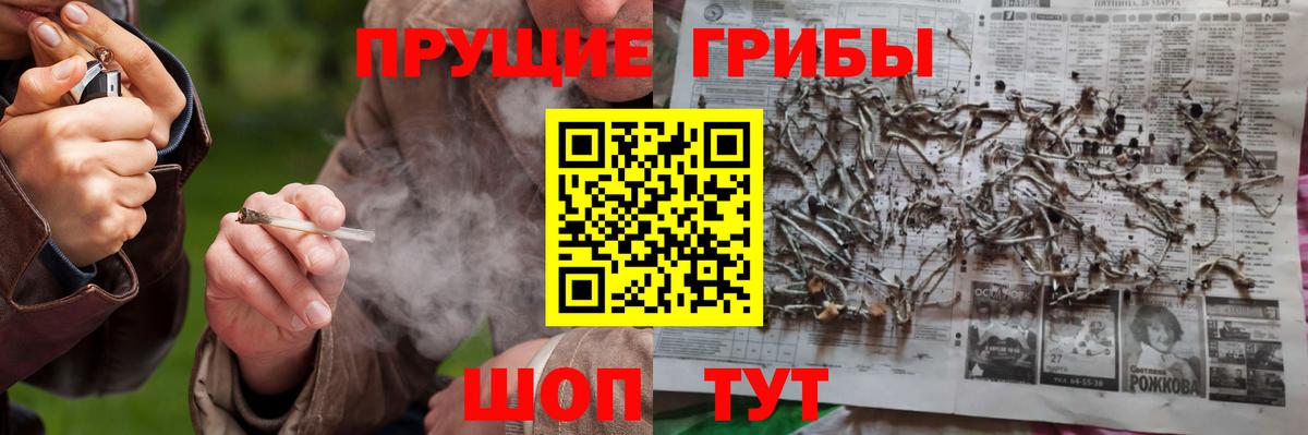 Псилоцибиновые грибы Cubensis Пенза